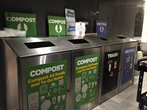 Top Five: Ways to reduce your carbon footprint on campus