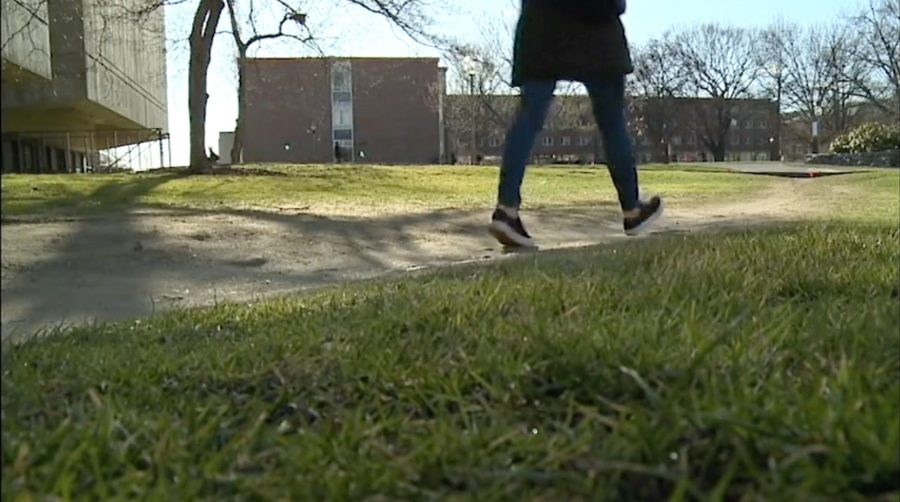 Students at UMass make their own pathways
