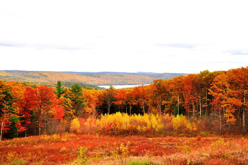 Pelham Lookout