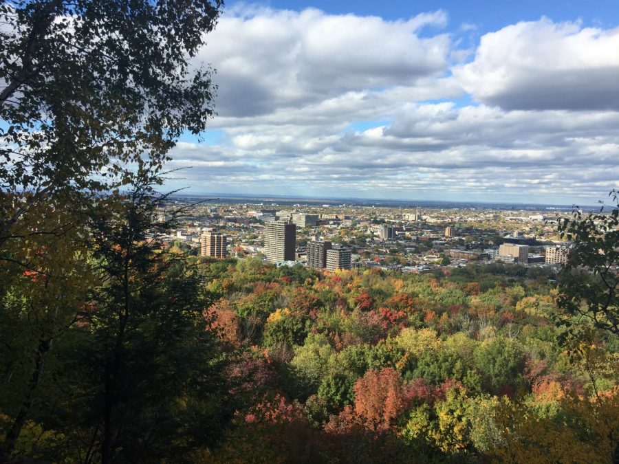 The view from the top of Mount Royal.
