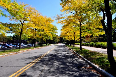 Lincoln Ave. at UMass