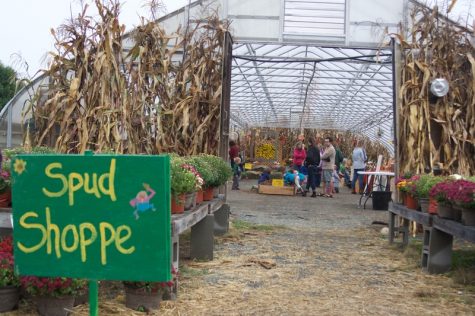 Potato Fest unearths a community of produce lovers