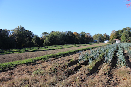 At Simple Gifts Farm, local food is a year-round affair