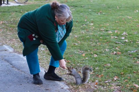 Sue Dreyer feeds a squirrel by the Student Union directly from her hands. (Caeli Chesin/Amherst Wire)