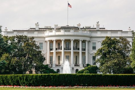 Breitbart chief Bannon tapped for top White House position