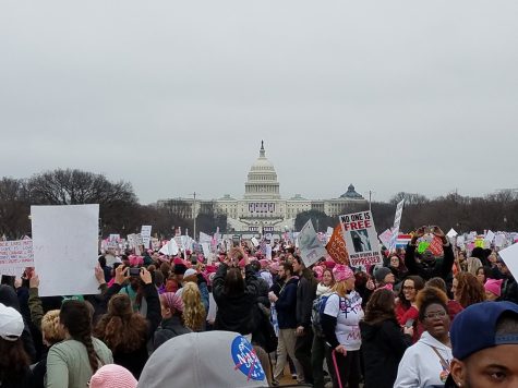 From D.C. to Dublin: A first-hand look at Women’s Marches around the world