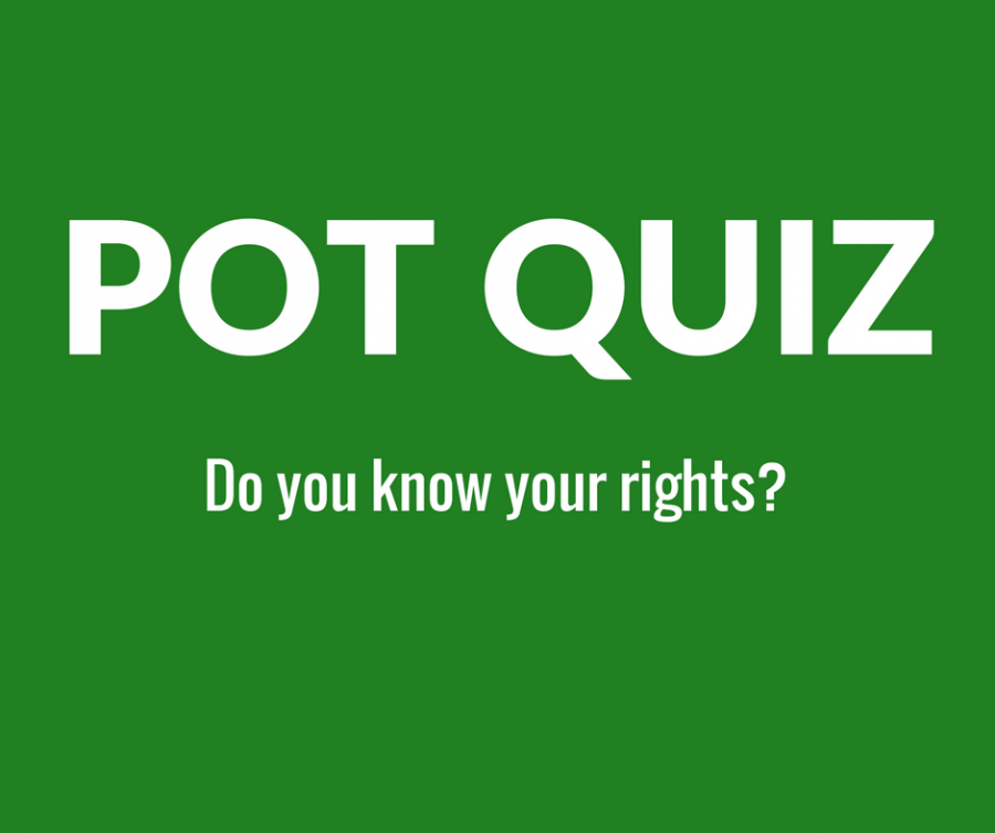 QUIZ: Do you know your marijuana rights in Massachusetts?