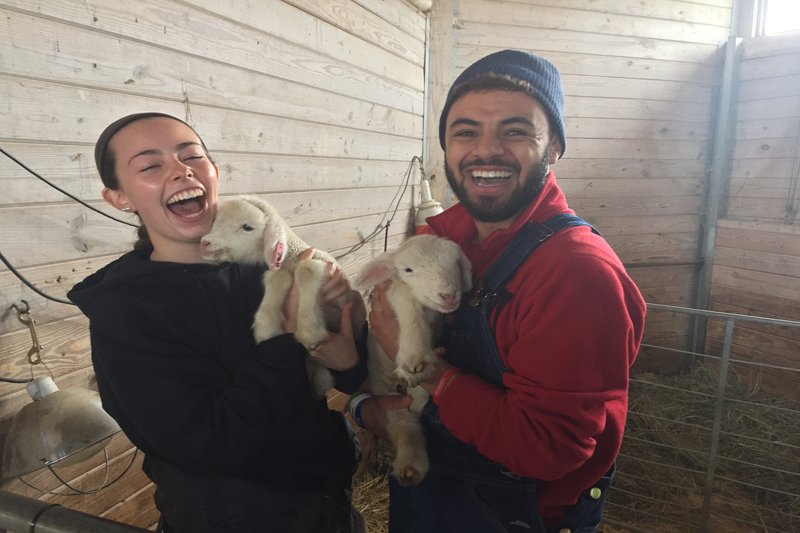 Amanda Reilly (left) and Cris Wein (right) hold two of the five baby lambs birthed on Friday, April 7, at the UMass Hadley Farm. (Faith Gregory/Amherst Wire)