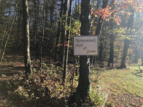 Triggered: At a local gun range, the search for a silver bullet in the gun control debate