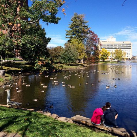 Top five: Cute date spots at UMass