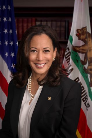 Is Kamala Harris the new face of the Democratic party?
