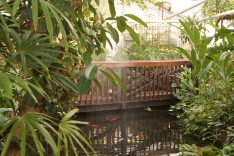 Durfee Conservatory: UMass’ historic hidden oasis