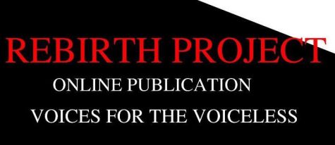 New publication, The Rebirth Project, gives a platform to students of color