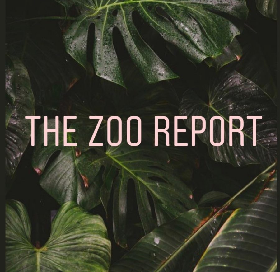 The Zoo Report Podcast: Episode 4