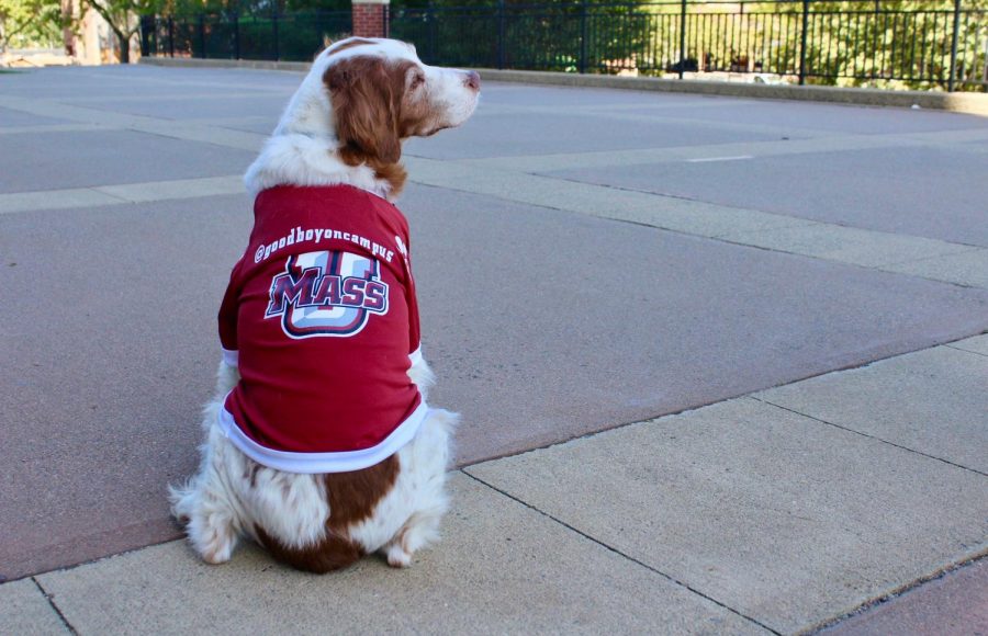 UMass Campus Store model and Instagram Influencer AJ Jamrog poses for a picture outside the W.E.B Du Bois Library. 