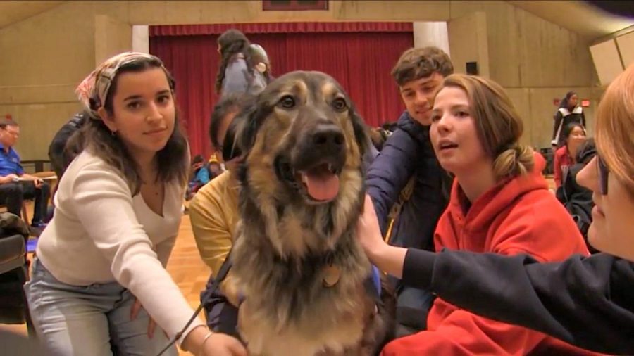 The+Paws+Program+brings+smiles+to+students