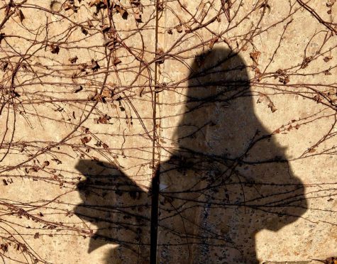 Seasonal affective disorder: A personal college story, symptoms and advice