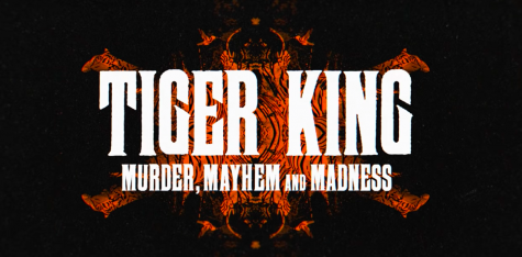 Netflix’s “Tiger King: Murder, Mayhem and Madness” sheds light on the eccentric big cat community