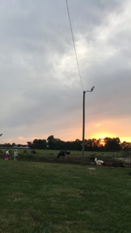 Five safe fall activities to do around Amherst