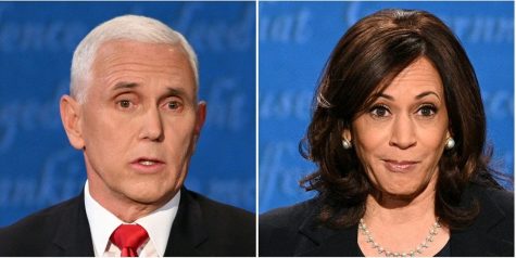 Vice Presidential Debate Recap: The good, the dull and the fly