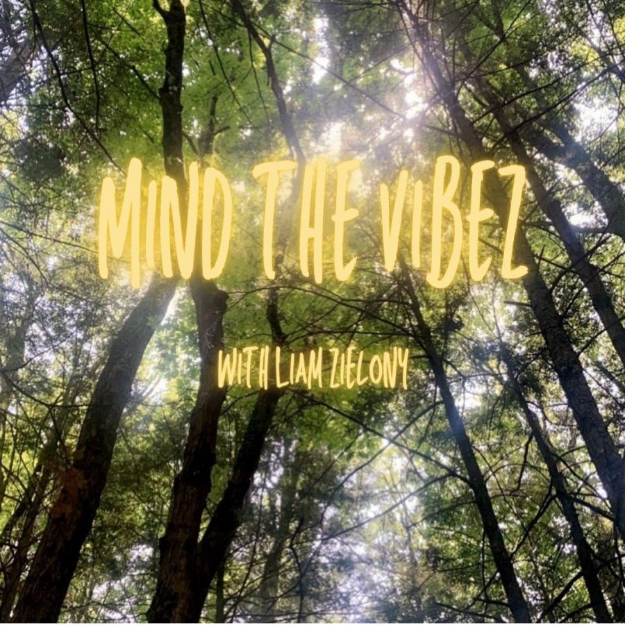 Mind+the+Vibez%3A+Pilot