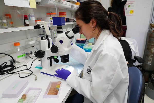 UMass Researchers React to Trump’s NIH Cuts