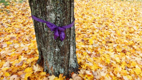 UMass senior collects letters of support for area survivors