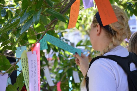 The Stigma Tree sends messages of hope