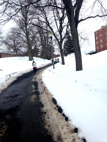 Orchard Hill: It’s worth the climb